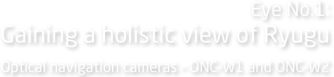 Eye No.1: Gaining a holistic view of Ryugu Optical navigation cameras - ONC-W1 and ONC-W2