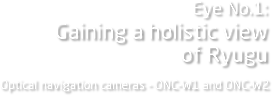 Eye No.1: Gaining a holistic view of Ryugu Optical navigation cameras - ONC-W1 and ONC-W2