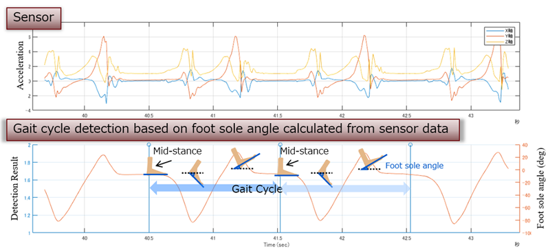 Sensor data and result of gait cycle detection