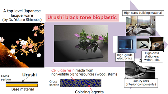 Outline of "Urushi Black" Bioplastic