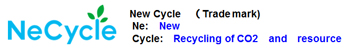NeCycle