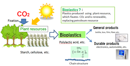Figure of the way to use plant resource for bioplastics