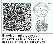 Electron microscope photograph of C60, and model of onion structure