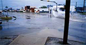 Link to Damage caused by flooding in urban areas